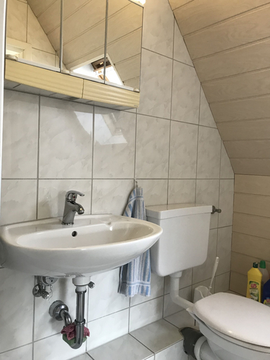 Bathroom 3, Ferienwohnung Elmshorn, Pinneberg