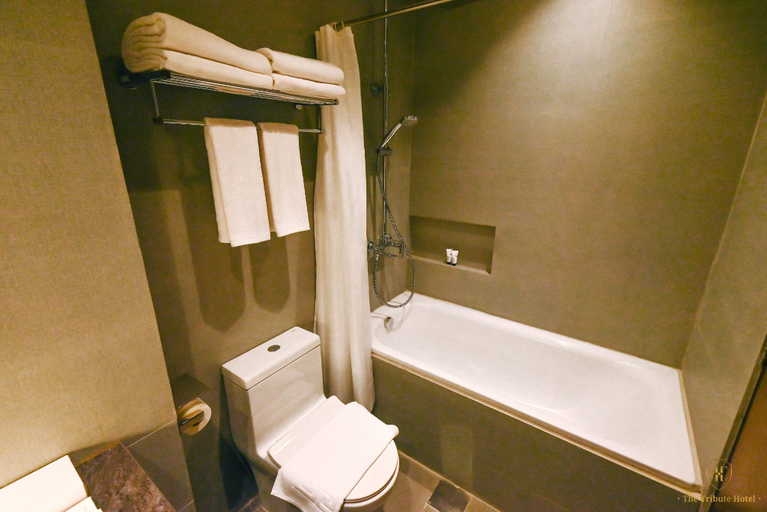 Bathroom 5, The Tribute Hotel, Quezon City
