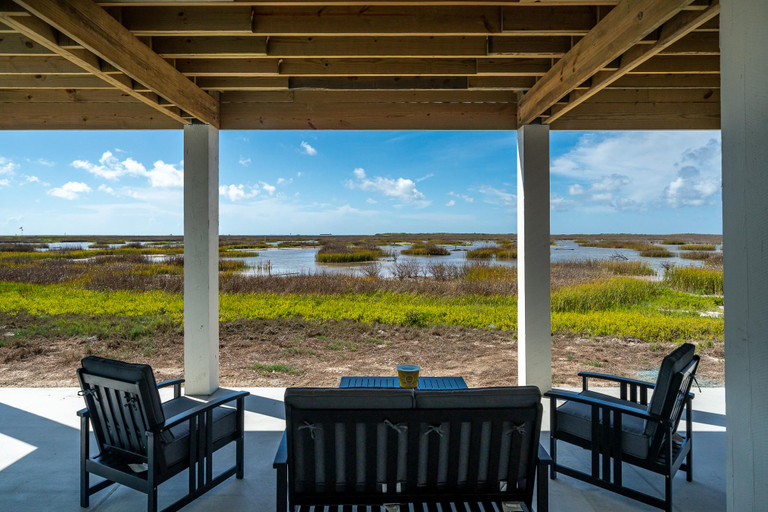 Others 5, Birds on the Bay, Aransas