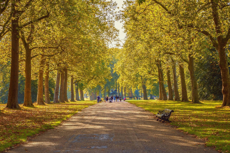Others 4, Park Grand London Hyde Park, London