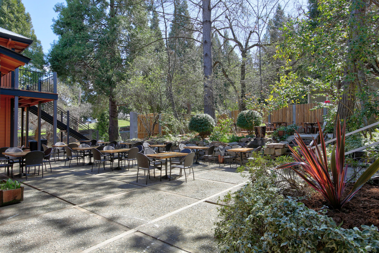 Food & Drinks 5, The Groveland Hotel, Tuolumne