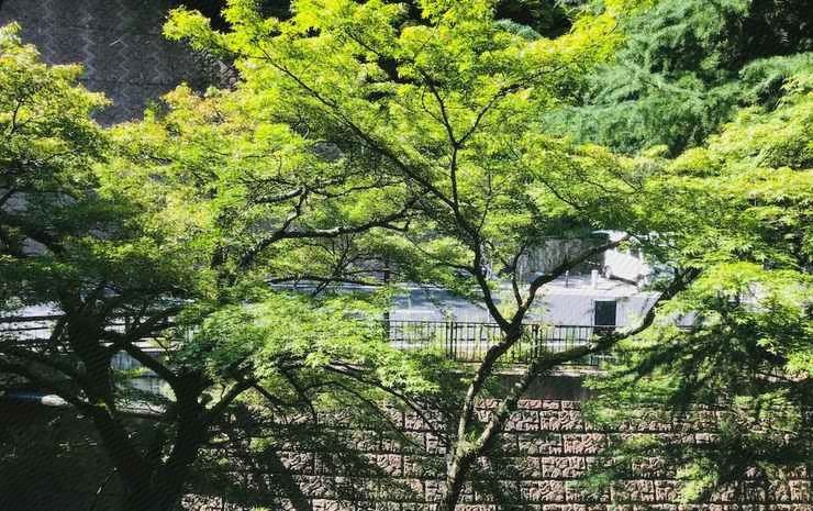 3, Tocen Goshoboh Arima Kobe, Nishinomiya