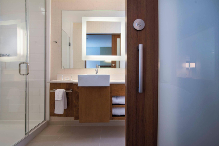Bathroom 4, Springhill Suites Wisconsin Dells, Sauk