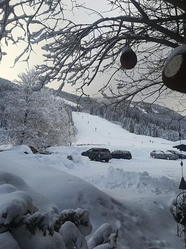 Others 3, Pension Walchauhof, Sankt Johann im Pongau
