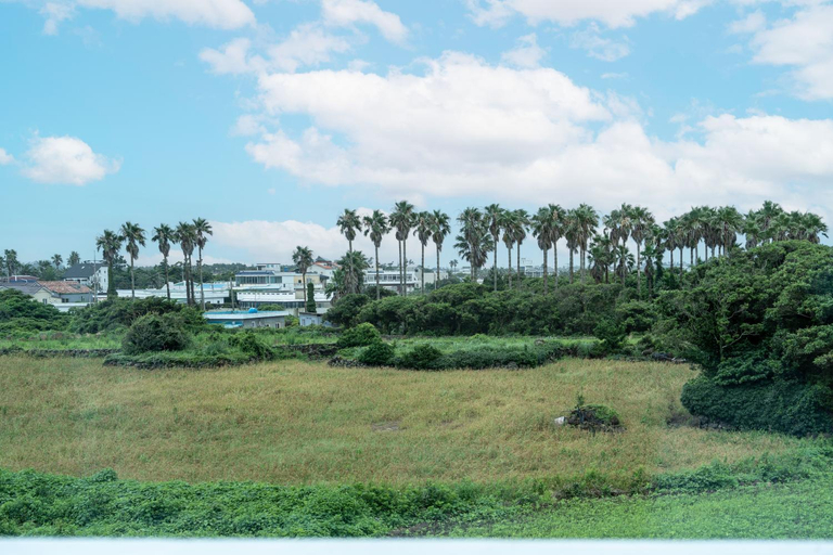Others 4, Jeju Unicorn Pension, Seogwipo