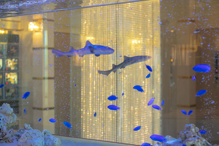 Public Area 2, Hotel Lotus Otsu - Adults Only, Lake Biwa