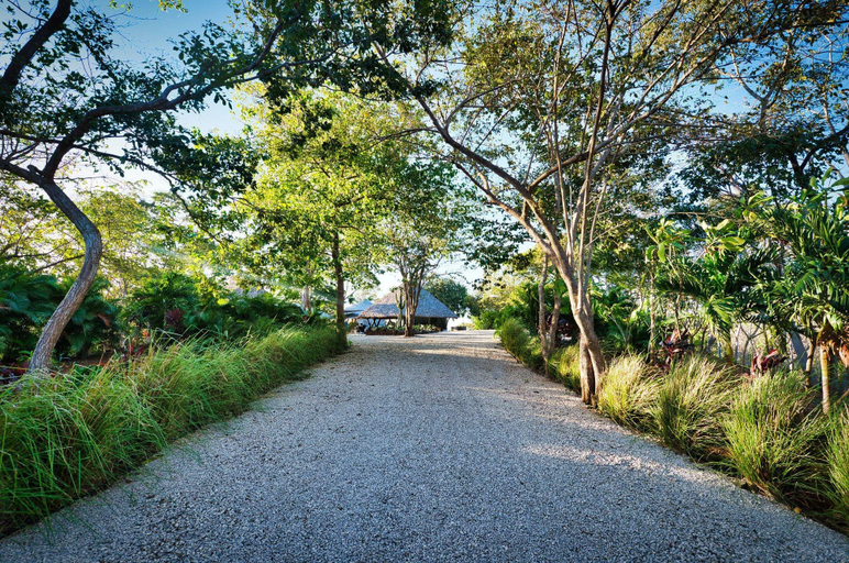 Public Area, Mikado Natural Lodge, Santa Cruz