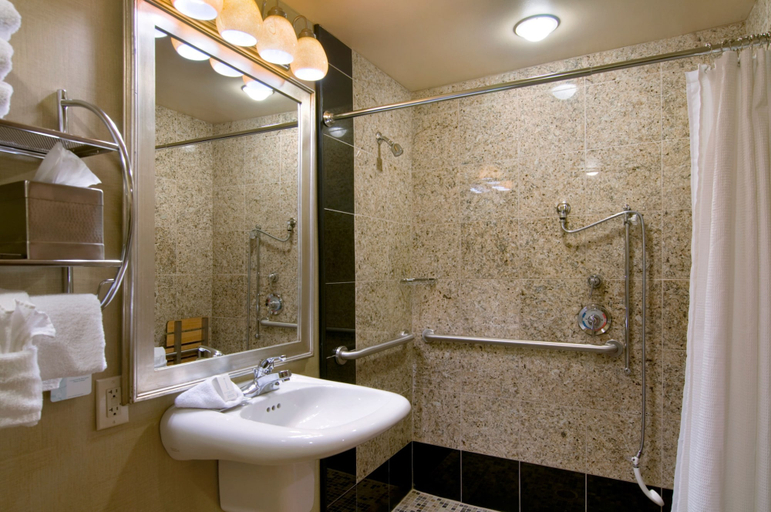 Bathroom 4, Hilton Knoxville, Knox