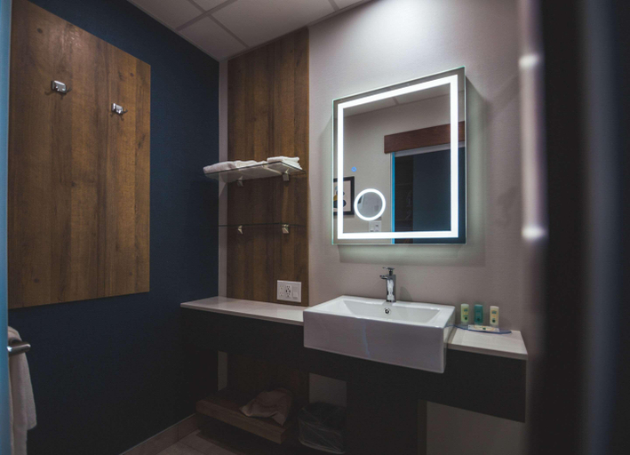 Bathroom 4, Quality Hotel & Conference Centre, Madawaska