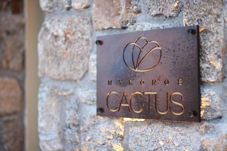 Public Area 2, Mykonos Cactus, South Aegean