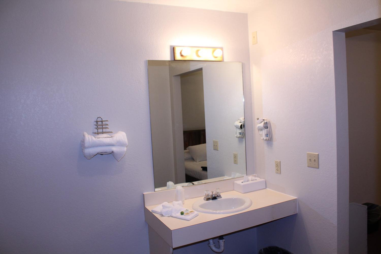 Bathroom 3, The BarnwooD Inn, Polk