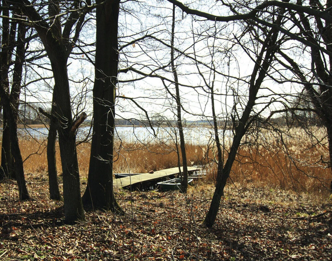 View from property 4, Ferienwohnung, Lohmen, Rostock