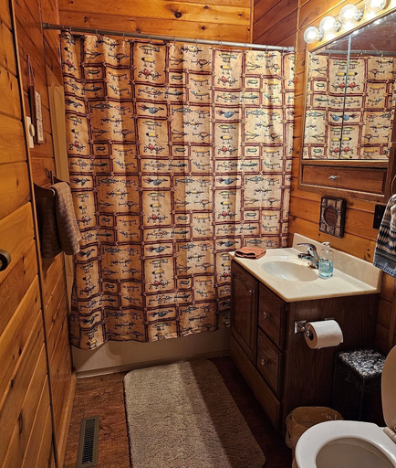 Bathroom 3, Butler's Bay Teal Lake Cabin, Sawyer