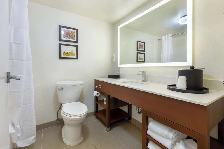 Bathroom 4, Comfort Suites Downtown Winston Salem , Forsyth