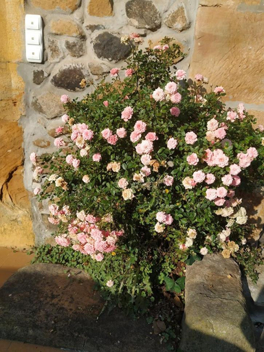 Others 2, Casas las Carolinas, Cantabria