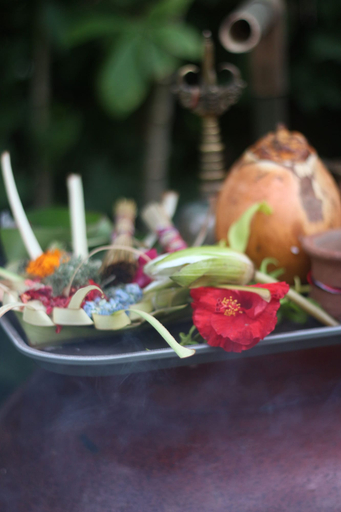 Food & Drinks 5, The Manja Retreat Lovina Bali, Buleleng