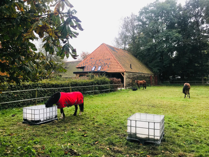 Others 5, Stalhuis, overnachten in een tinyhuis bij de paarden, Dalfsen