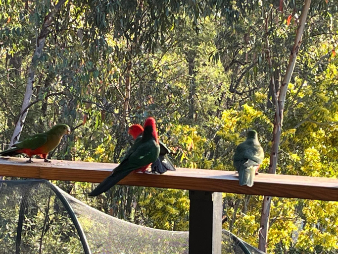 Others 3, Country charm coastal living, Bega Valley
