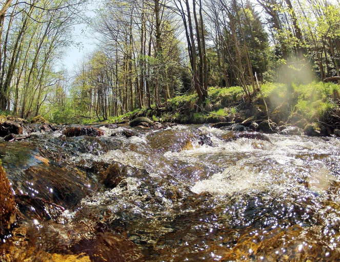 Others 3, Doppelhaushalfte in Hasselfelde, Harz