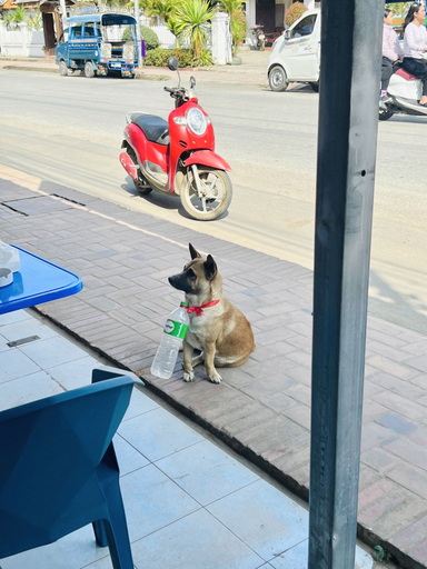 街头.jpg