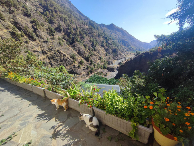 Others 5, Rivendell Eco lodge, Santa Cruz de Tenerife