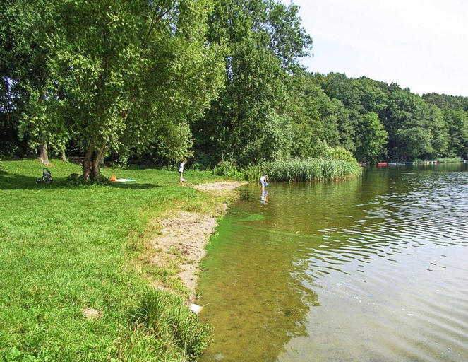 View from property 4, Ferienhaus am Dummer See, Perlin, Nordwestmecklenburg
