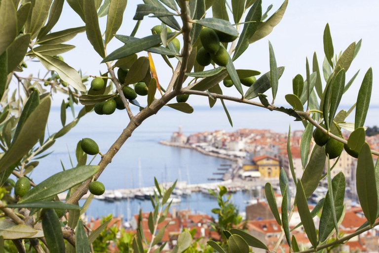 Others 4, Rustic Villa Lavanda - Pool & Garden - Happy Rentals, Koper