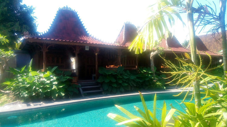 Swimming Pool 5