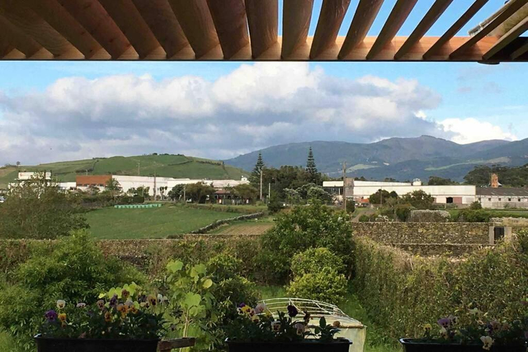Others 5, SERMAR 1, Ribeira Grande