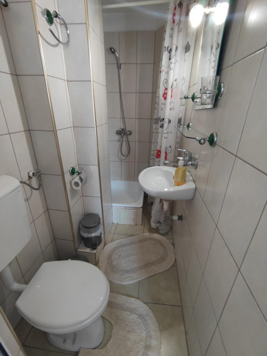 Bathroom 5, Camere de inchiriat EDELWEISS, Dumbrava Rosie