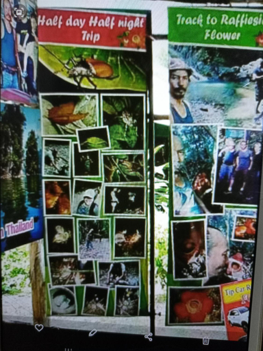Others 4, khai jungle experience wassana camp, Phanom