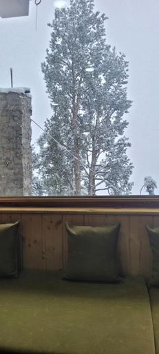 Others 4, Rudra homestays, Kinnaur