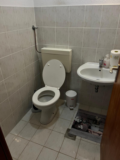 Bathroom 3, Gaj pod brezami, Luce