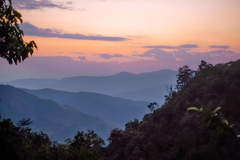 3, One villa coffee farm stay 1, Mae Suai