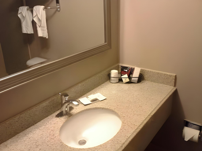 Bathroom 4, Quality Inn & Suites Arden Hills - Saint Paul North, Ramsey