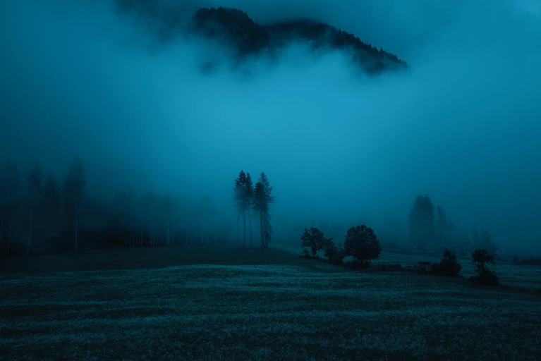 Surrounding environment 3, Seeberhof, Bolzano