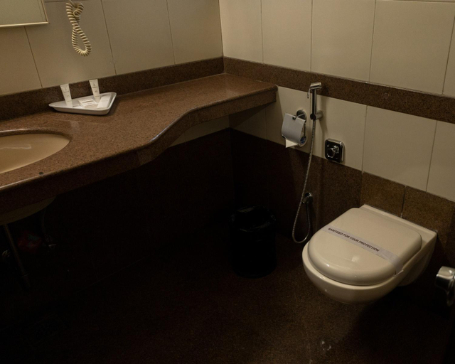 Bathroom, Hotel Ambience Excellency, Pune
