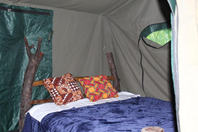 Bedroom, Kibale Forest Cottages And Campsite, Kibale