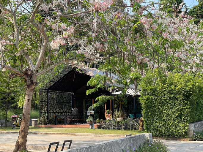 Others 5, Rock Forest, Sattahip