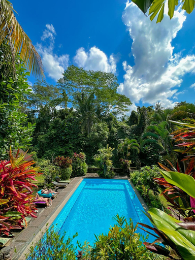 Swimming Pool 6