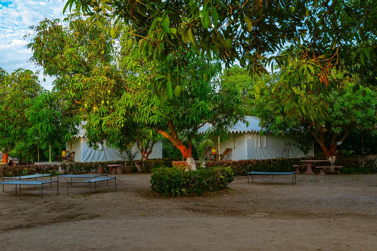 Others 5, Amber ReSort, Junagadh