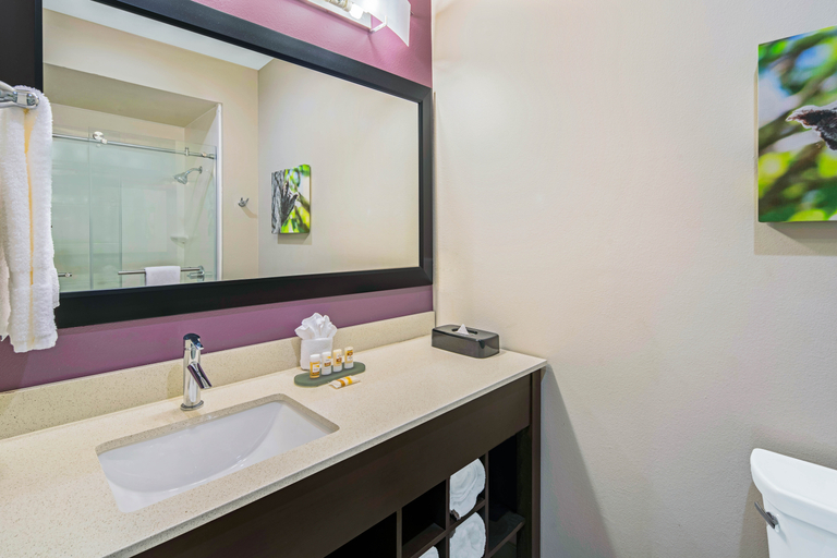 Bathroom 4, La Quinta Inn & Suites McAllen La Plaza Mall, Hidalgo