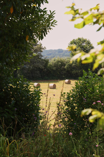 Others 4, Chateau Gioux, Creuse