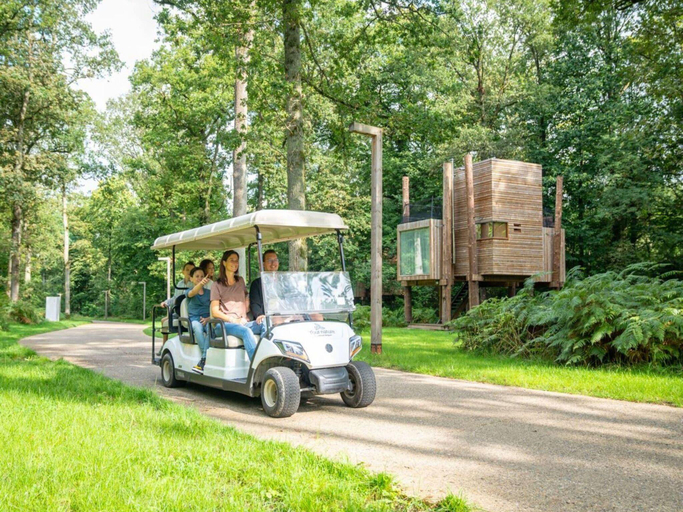 Others 5, Serene Forest Getaway, Hainaut