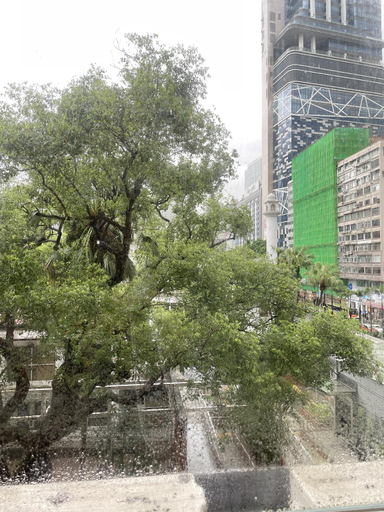 Exterior & Views 4, Vve Vve Hotel, Kowloon