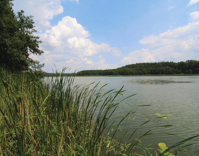 View from property 2, Blockhauser am Fahrsee, Templin, Uckermark