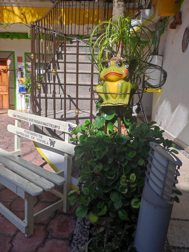 Others 4, Hotel Colonial, Tepoztlán