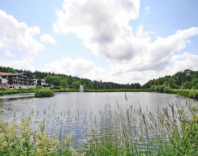 View from property 2, Ferienwohnung, Hahnenklee, Goslar
