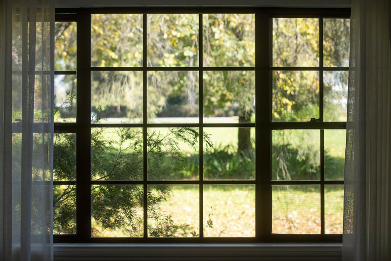 Scenery 10