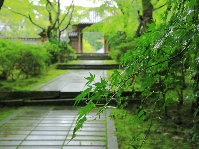 Others 3, Kawachinaganosou, Kawachinagano